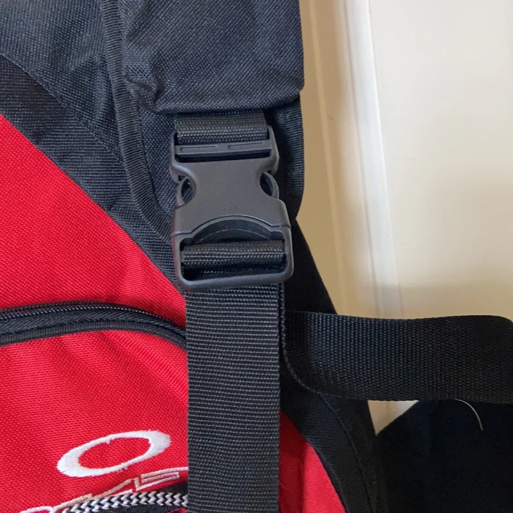 Backpack, NWOT. Excellent condition. - Picture 4 of 6